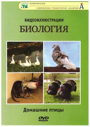 Биология: Домашние птицы